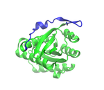 Ideal proteins?